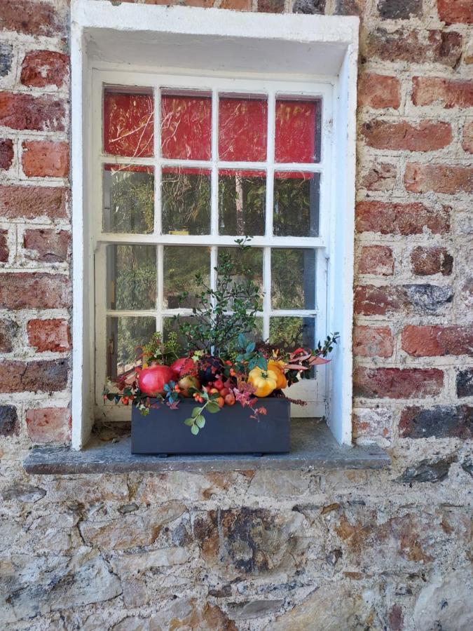 Lynam Cottage Ashford Bagian luar foto
