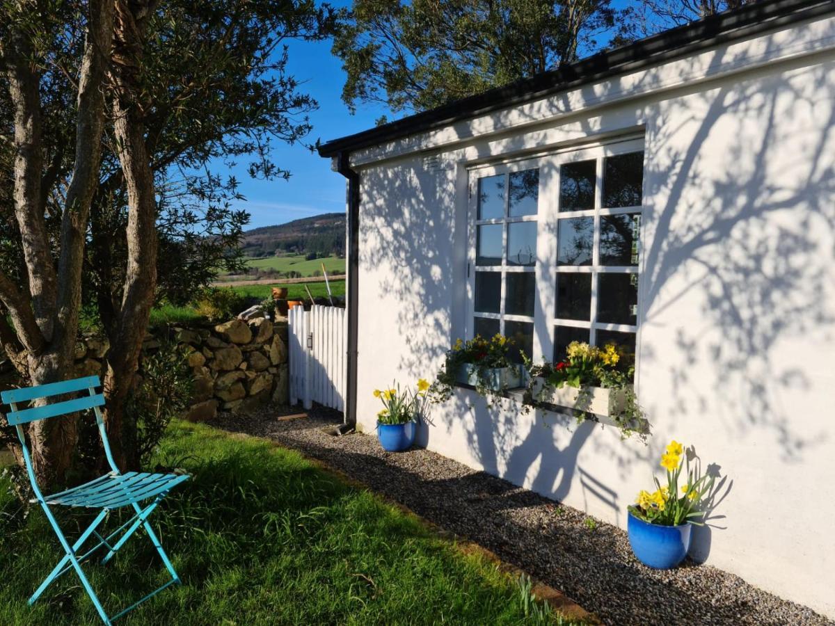 Lynam Cottage Ashford Bagian luar foto